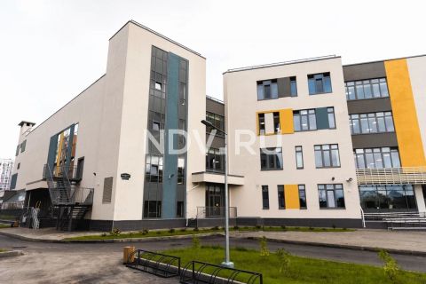 Среда для роста: жилые комплексы с современными школами 